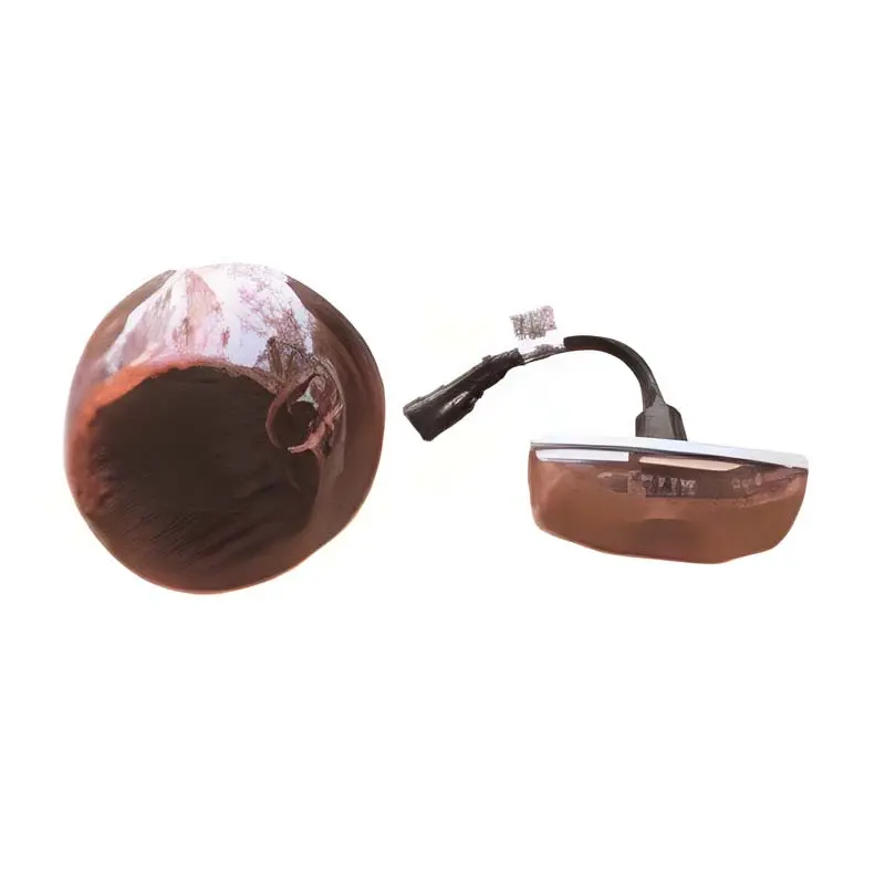 Wholesale SITRAK C7H Side turn light Genuine OEM Product from Sinotruk Group Manufacturer, Factory