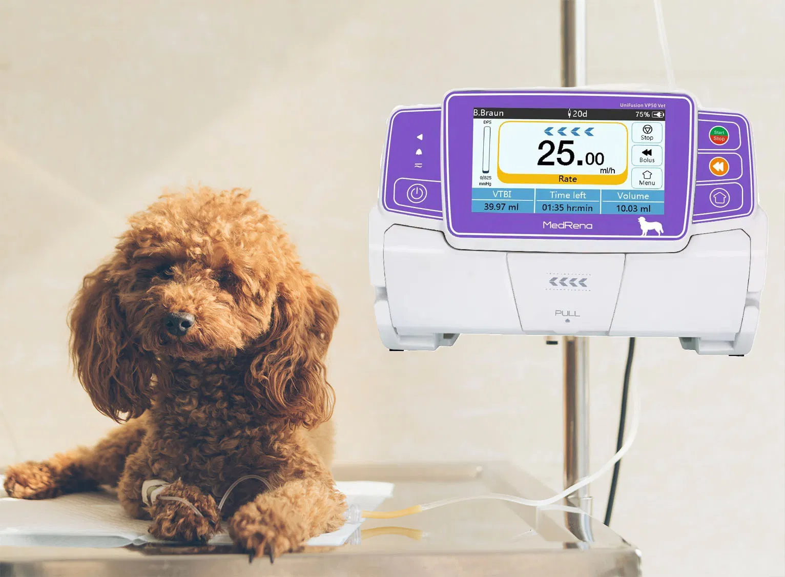 Equipos Médicos de Salud Animal infusión User-Experience Mejor Mejor infusión de la bomba de jeringa