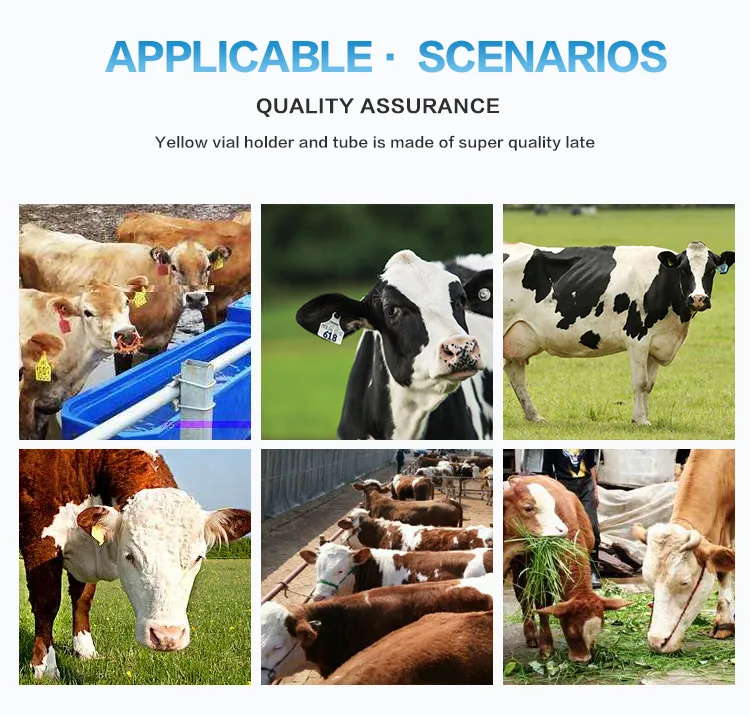 Equipo médico veterinario