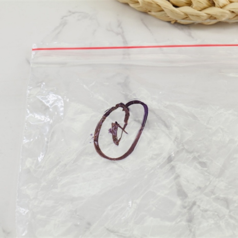 Kit de costura desechable para uso de invitados con características de seguridad