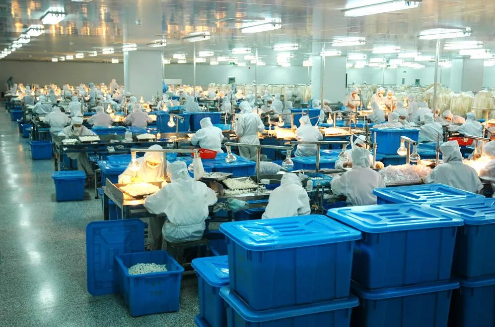 Produção de Luvas Médicas