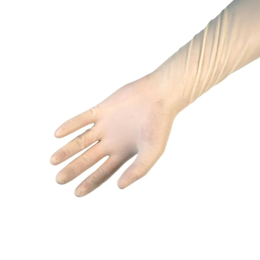 Detalhe 6