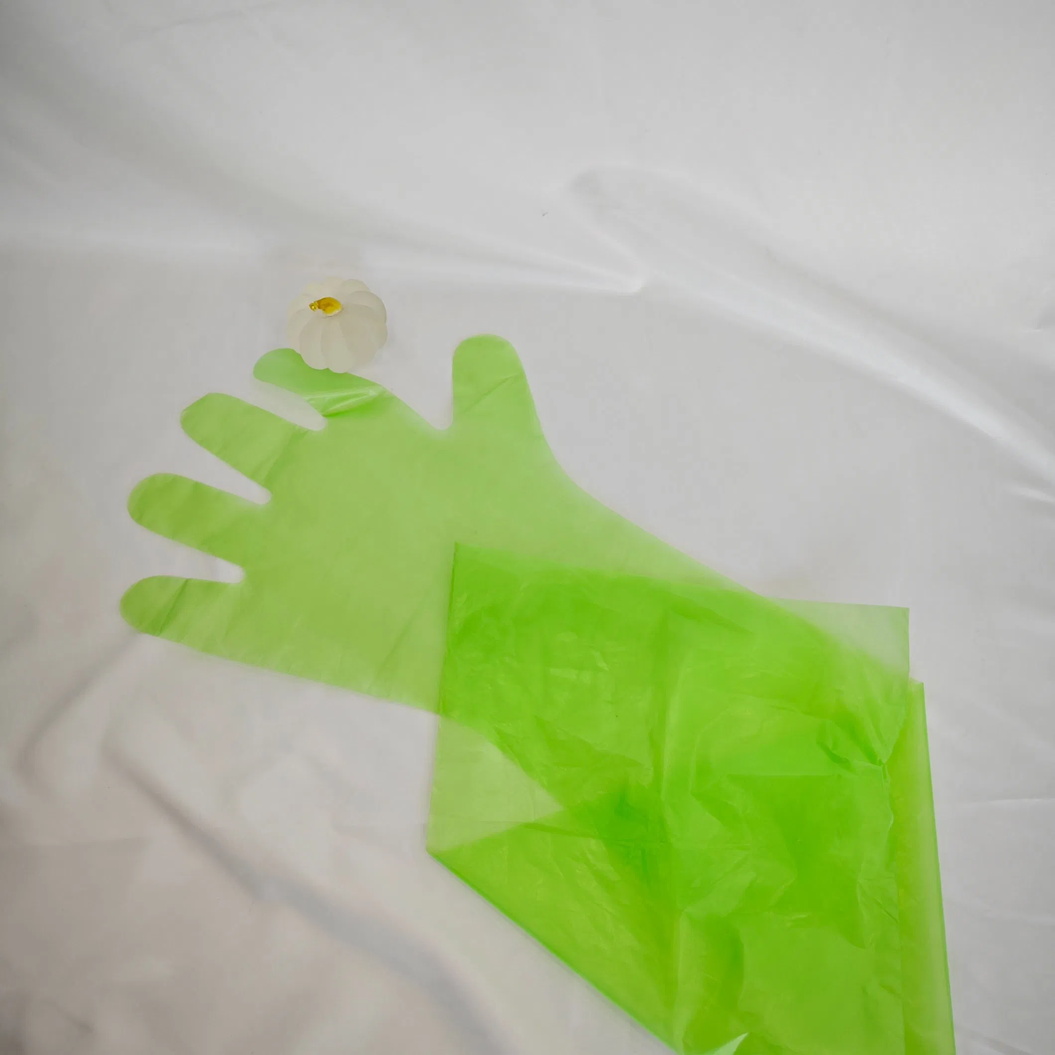 Luvas Cirúrgicas Descartáveis Ecológicas para Hospitais e Lares