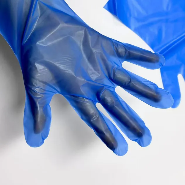 Luvas descartáveis de PE para preparação de alimentos, luvas plásticas, luvas biodegradáveis