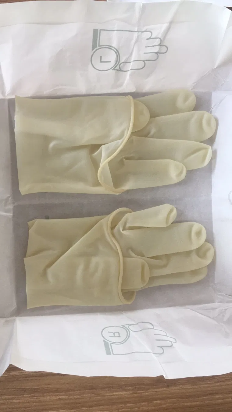 Luvas Cirúrgicas de Látex Esterilizadas de Alta Qualidade com Certificação ISO