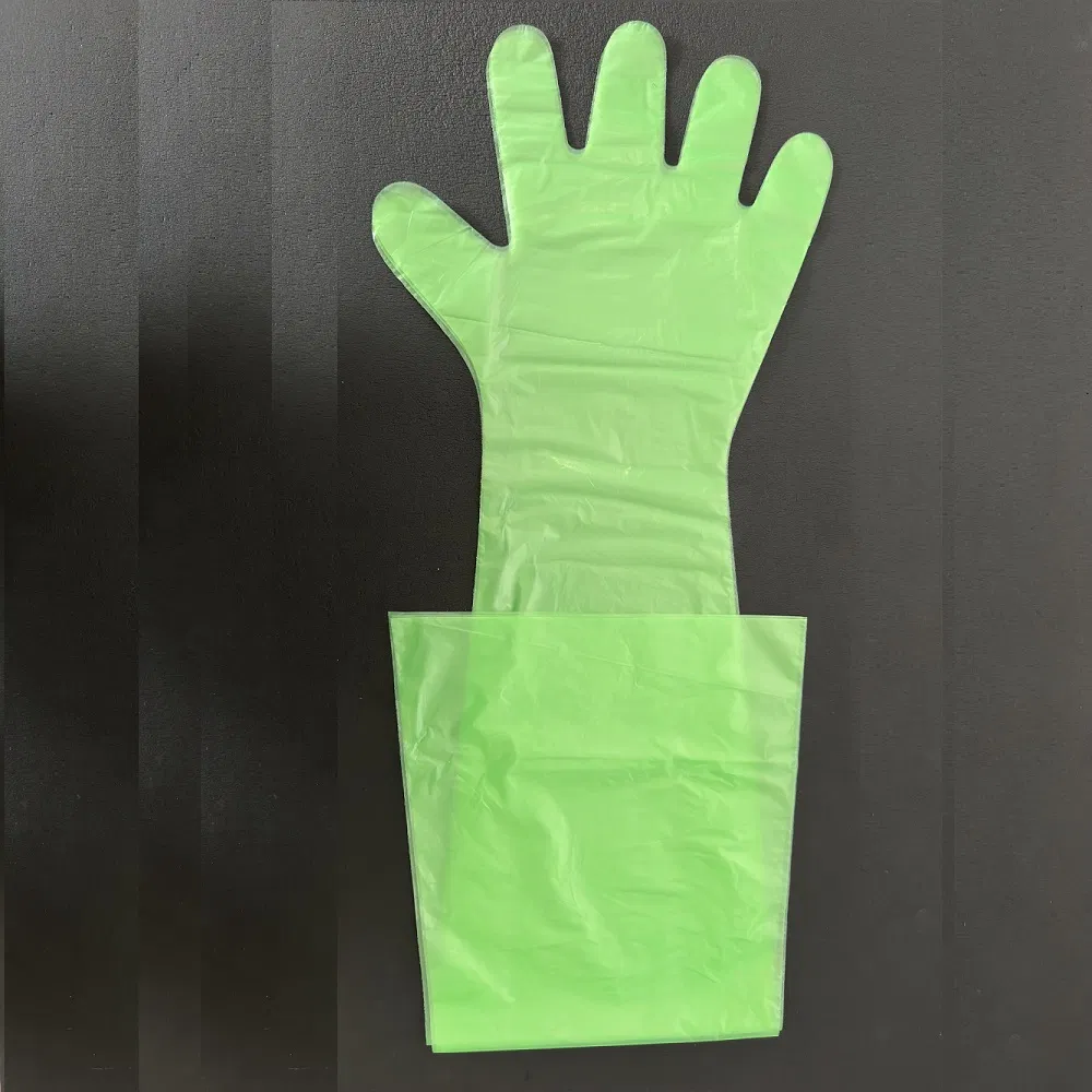 Luvas Cirúrgicas Descartáveis Ecológicas para Hospitais e Lares