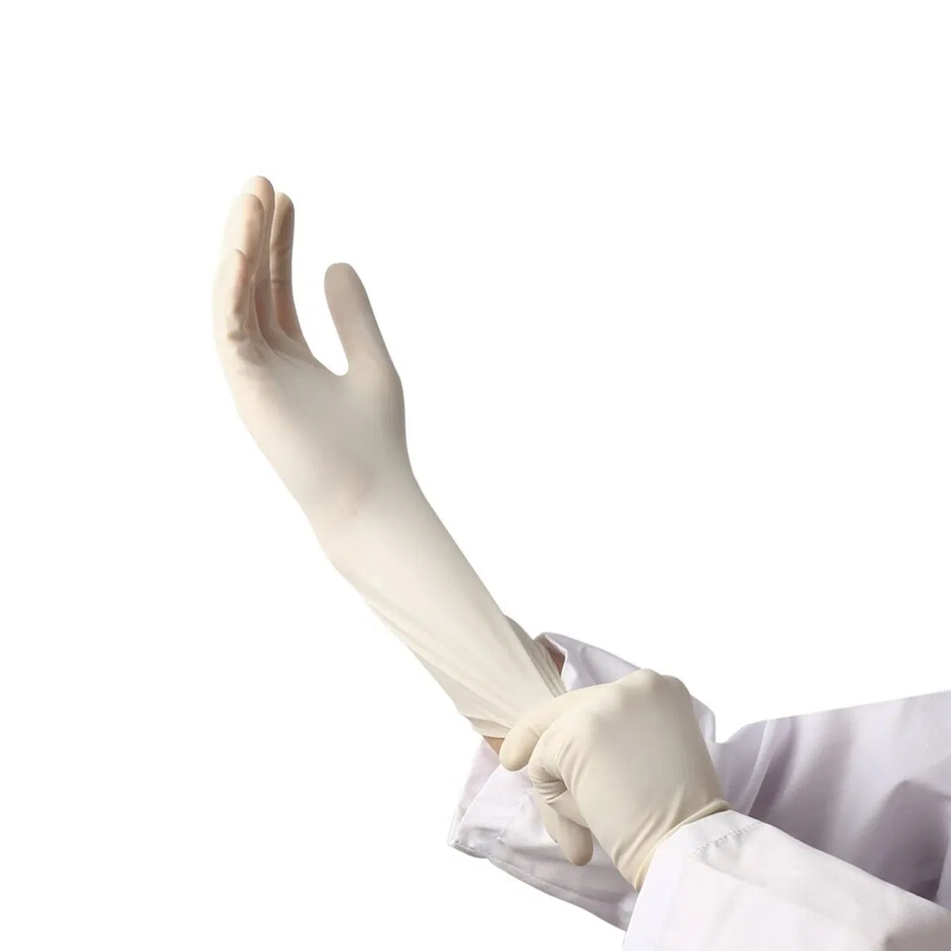 Luvas Cirúrgicas de Látex Descartáveis Sem Pó para Uso Médico Hospitalar