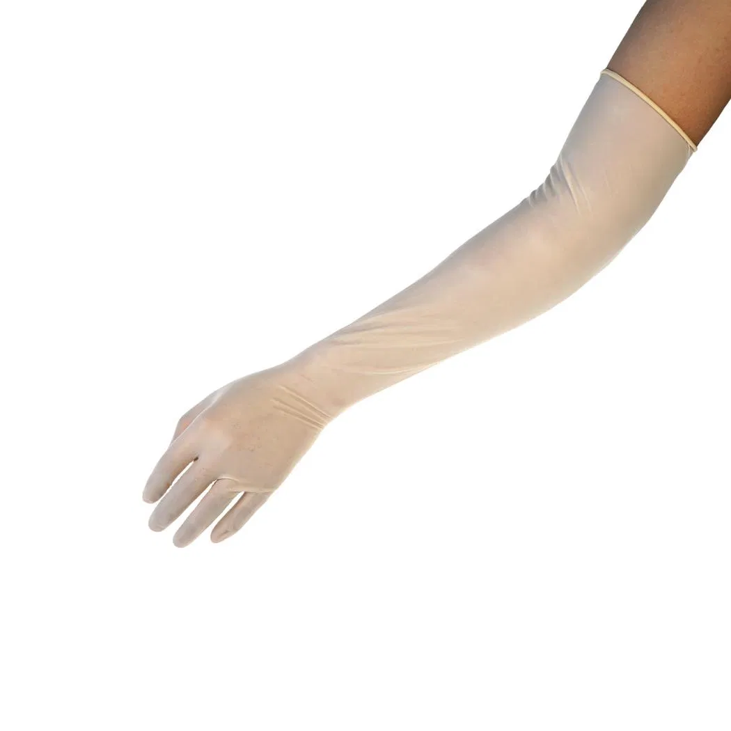 Detalhe 9