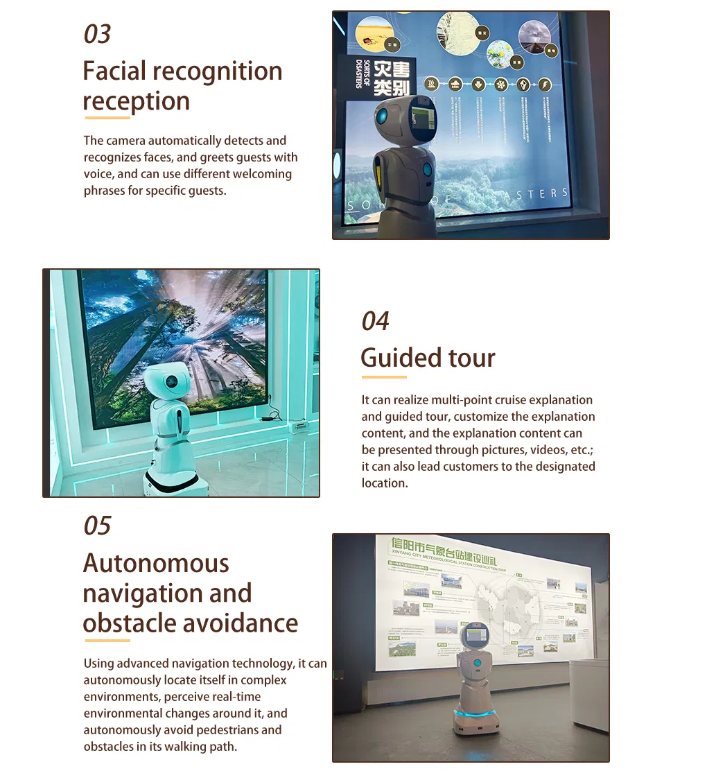 Humanoid Interaction