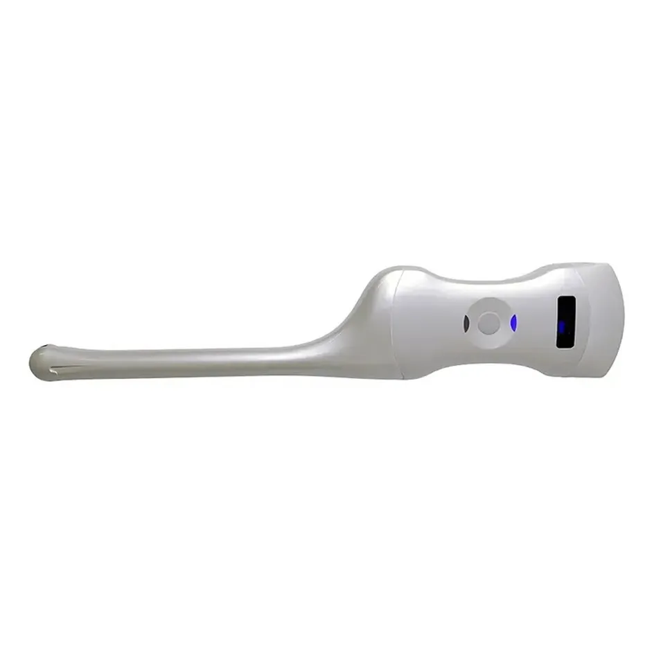 Detailed Ultrasound Probe 1