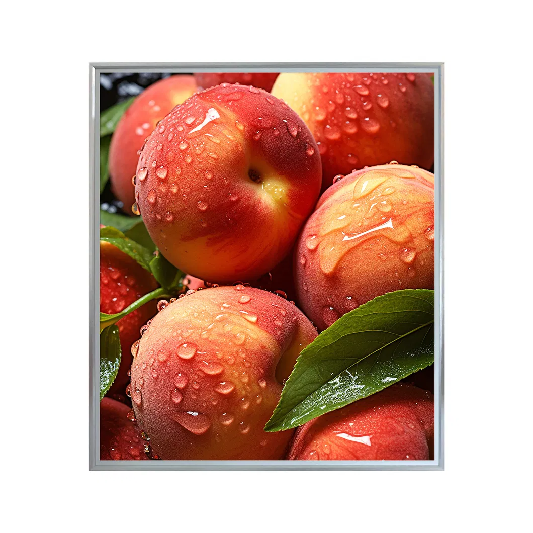Square LCD Monitor View 5