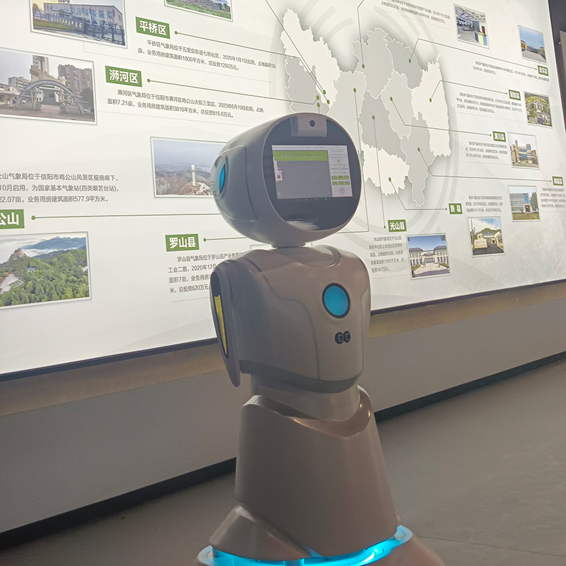 Healthcare Medication Reminders Vital Signs Monitoring Humanoid Service Robot