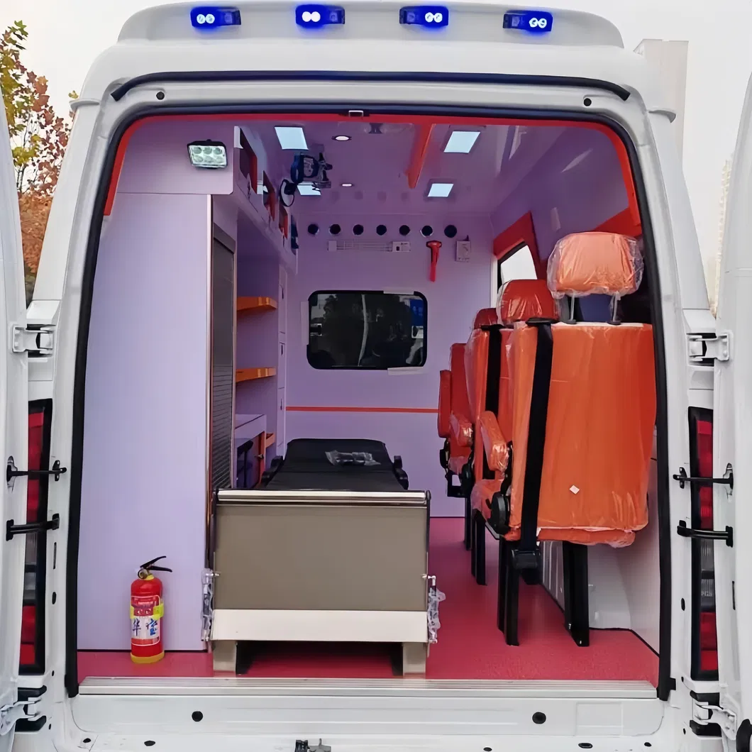 Ambulance View 5