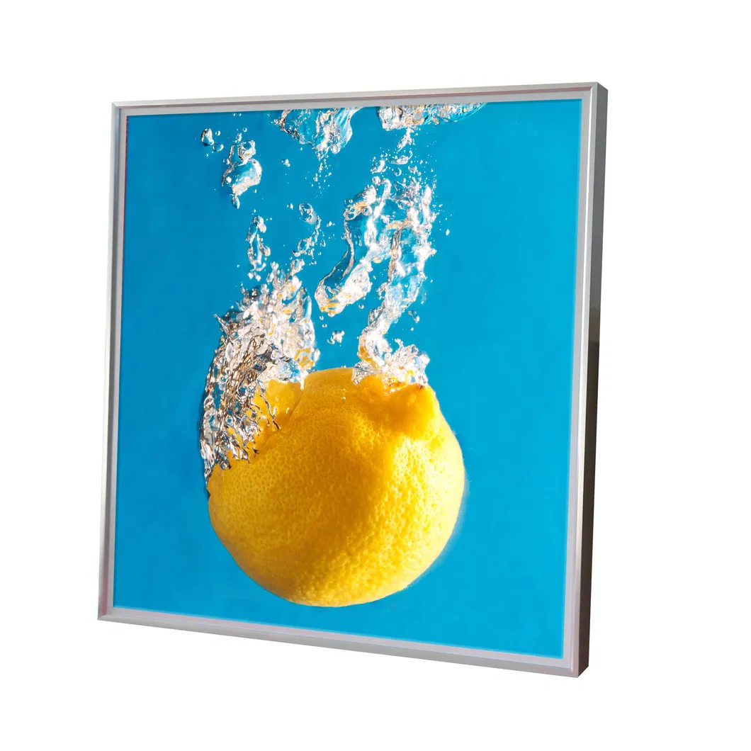 Square LCD Monitor View 2