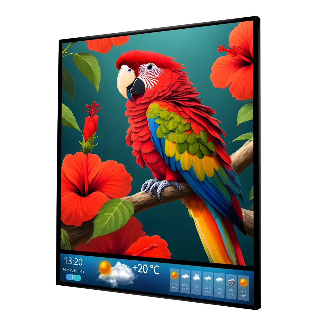 46.6 inch LCD