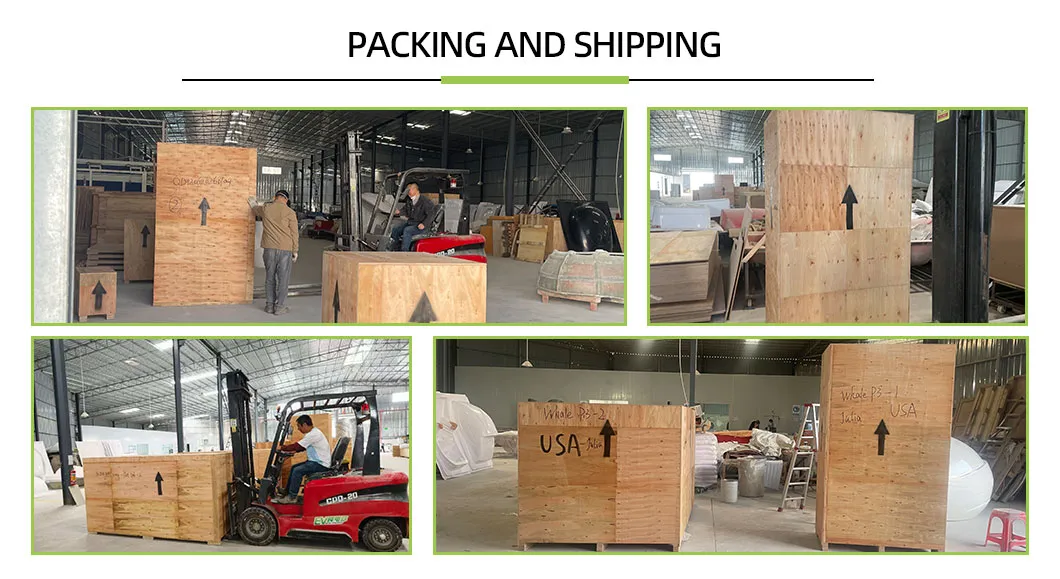 Professional Packaging