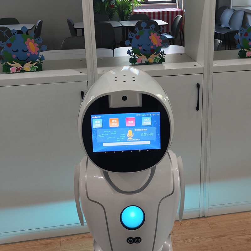 Healthcare Medication Reminders Vital Signs Monitoring Humanoid Service Robot