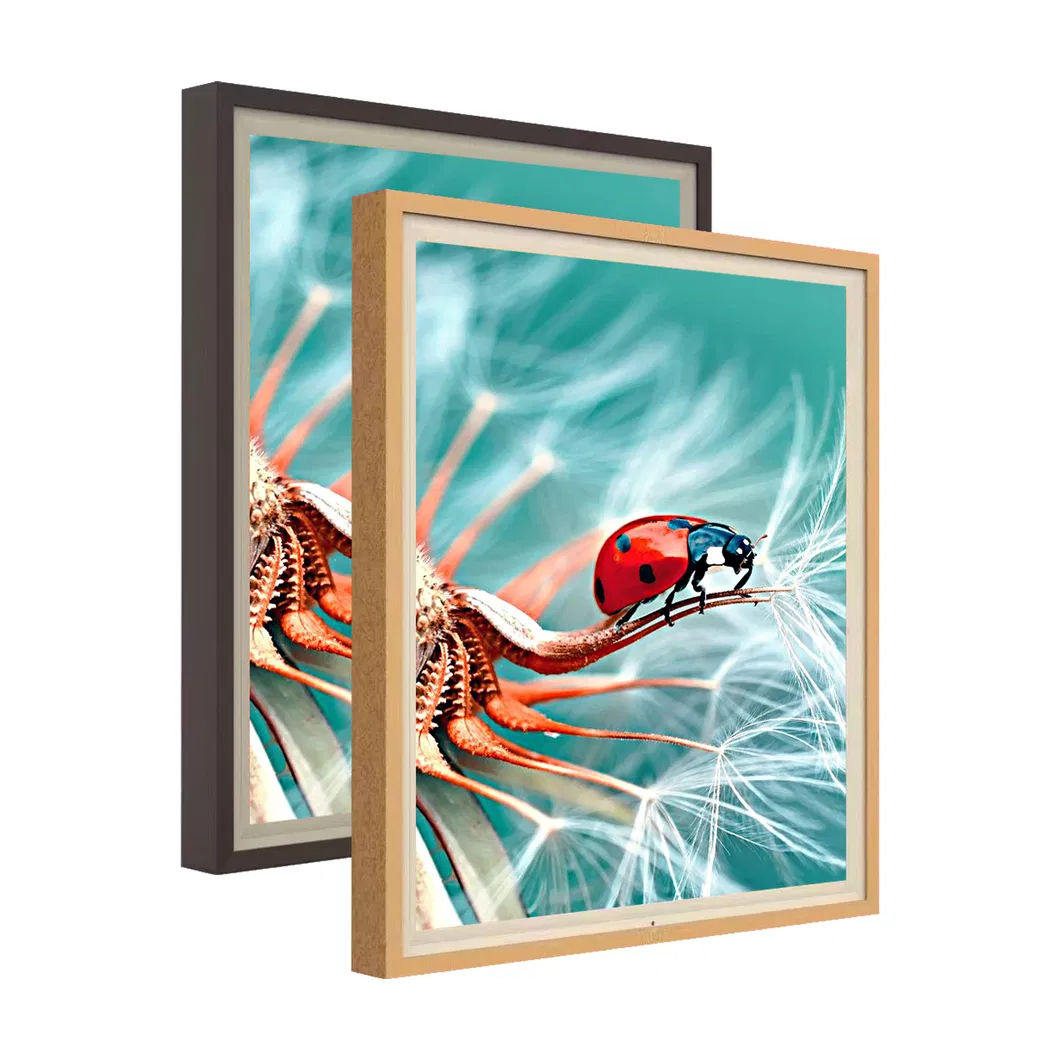 Digital Art LCD Display