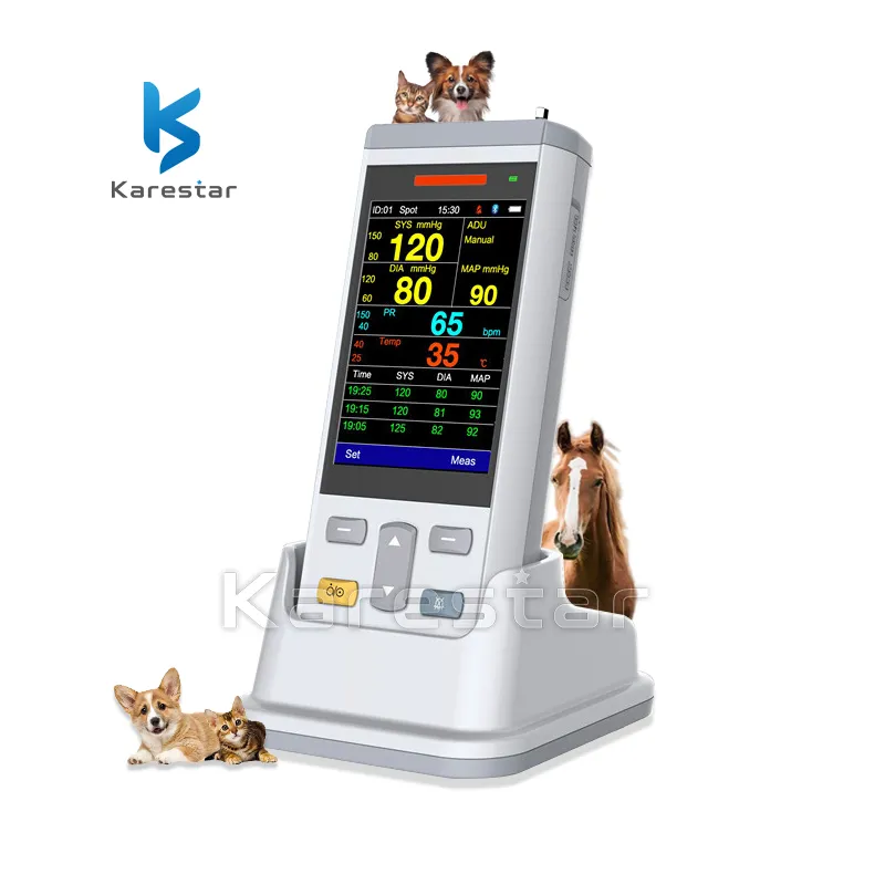 Vital Signs Monitor