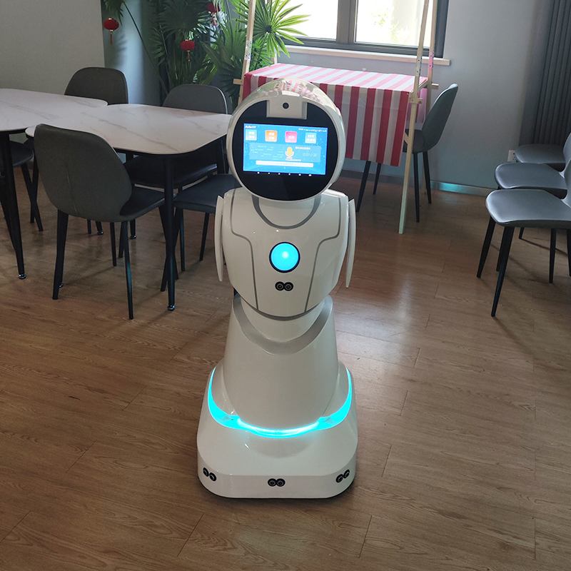 Healthcare Medication Reminders Vital Signs Monitoring Humanoid Service Robot