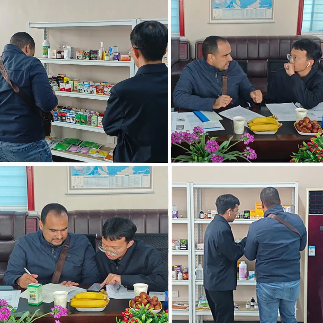 Customer Visit 2