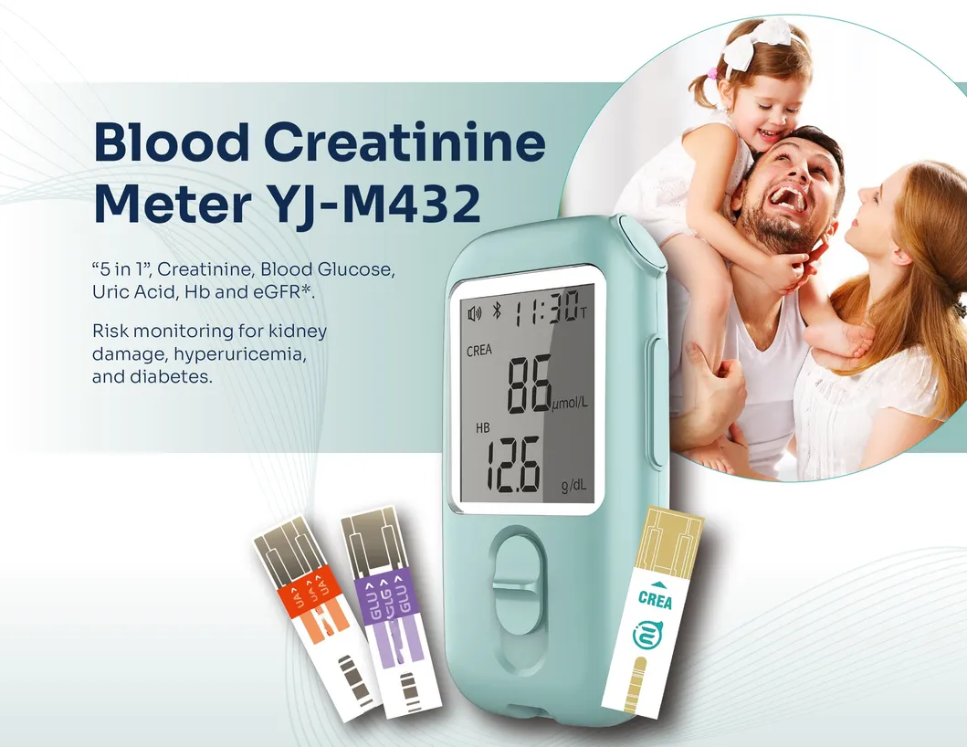 Blood Creatinine Meter Monitoring