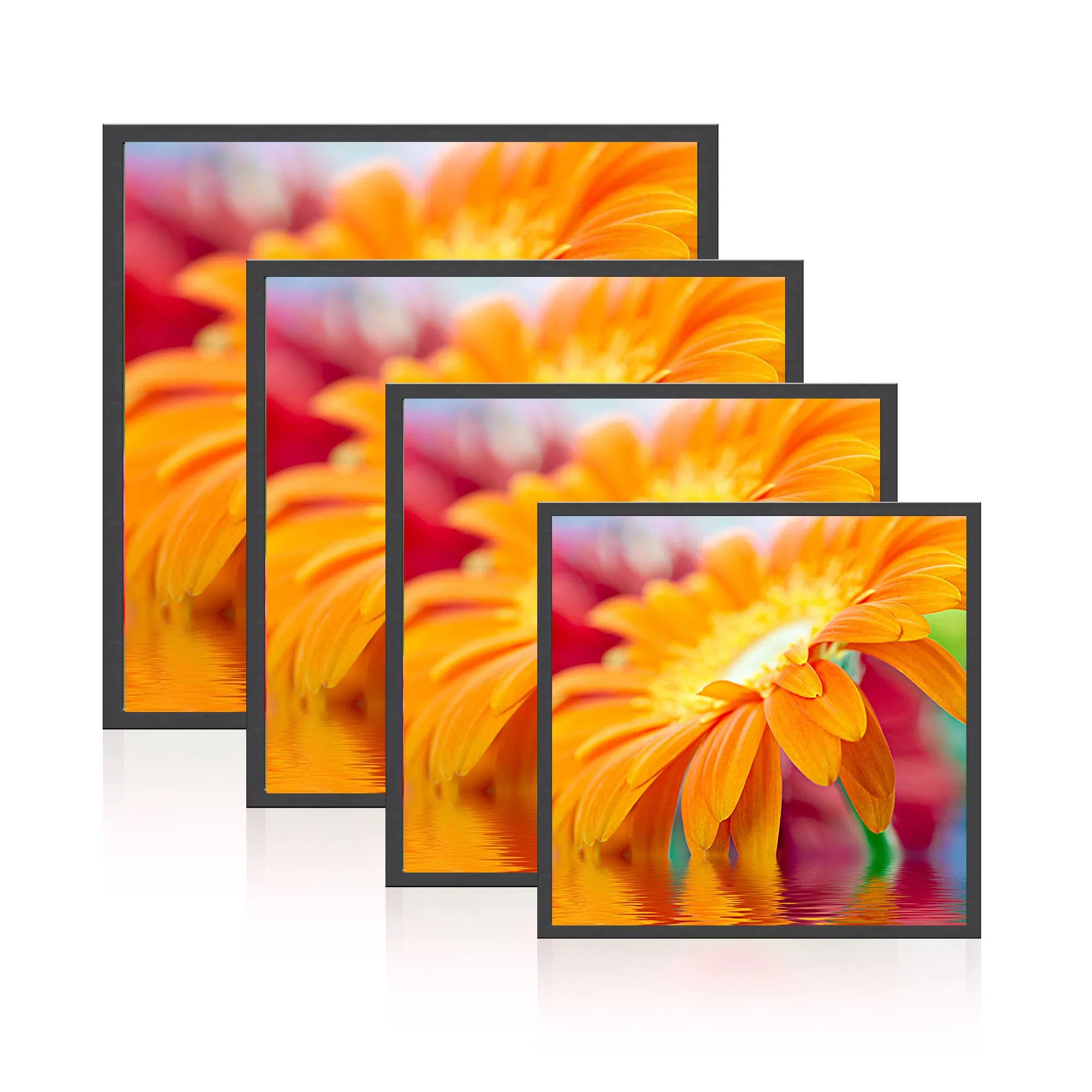 29.5 Inch Qled Backlight Square Display LCD Monitor for Museum, Art Exhibition, Amusement and Gaming Design