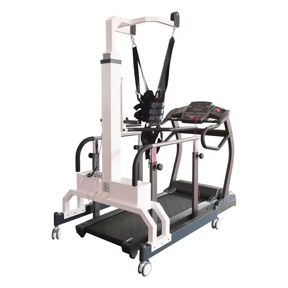 Walking Rehabilitation Device Main View