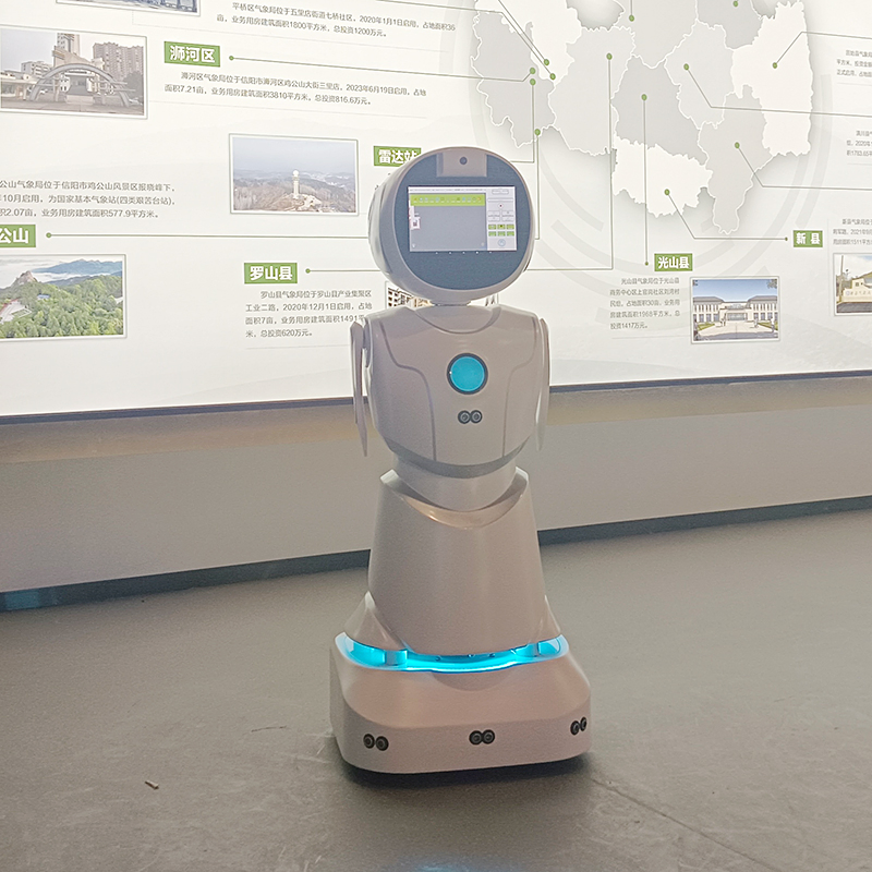 Healthcare Medication Reminders Vital Signs Monitoring Humanoid Service Robot
