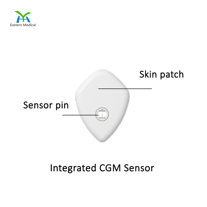Continuous Glucose Monitoring System / Remote Monitoring / Cgm