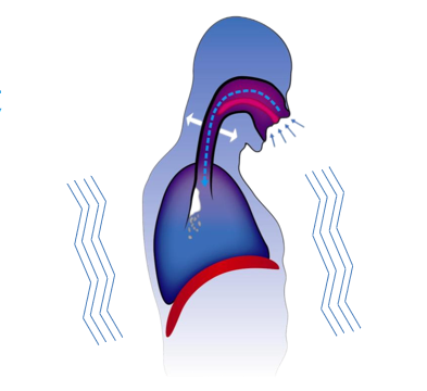 HFCWO Mechanism