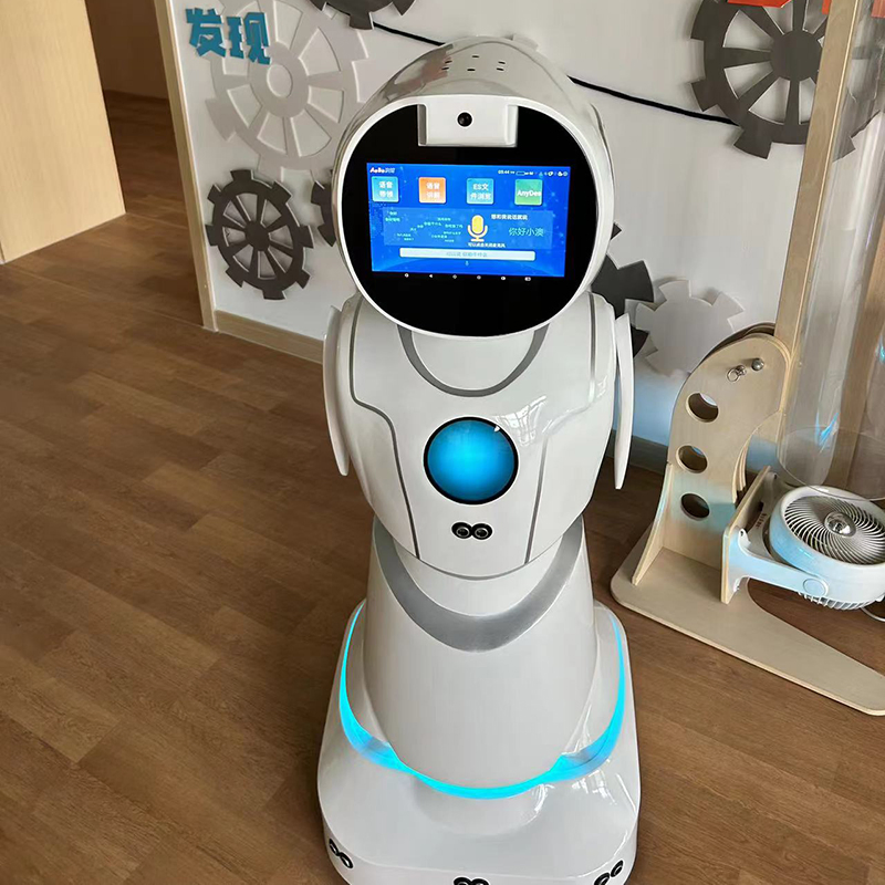 Healthcare Medication Reminders Vital Signs Monitoring Humanoid Service Robot