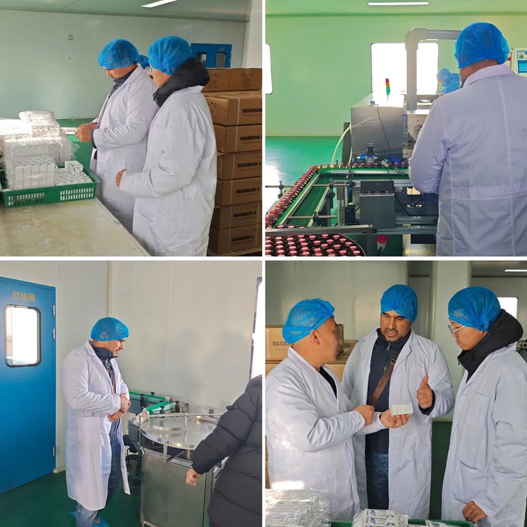 Customer Visit 3