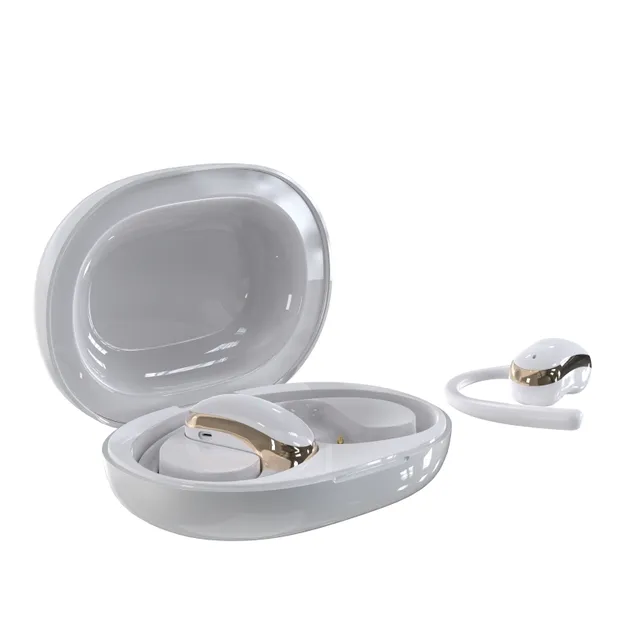 Earphones