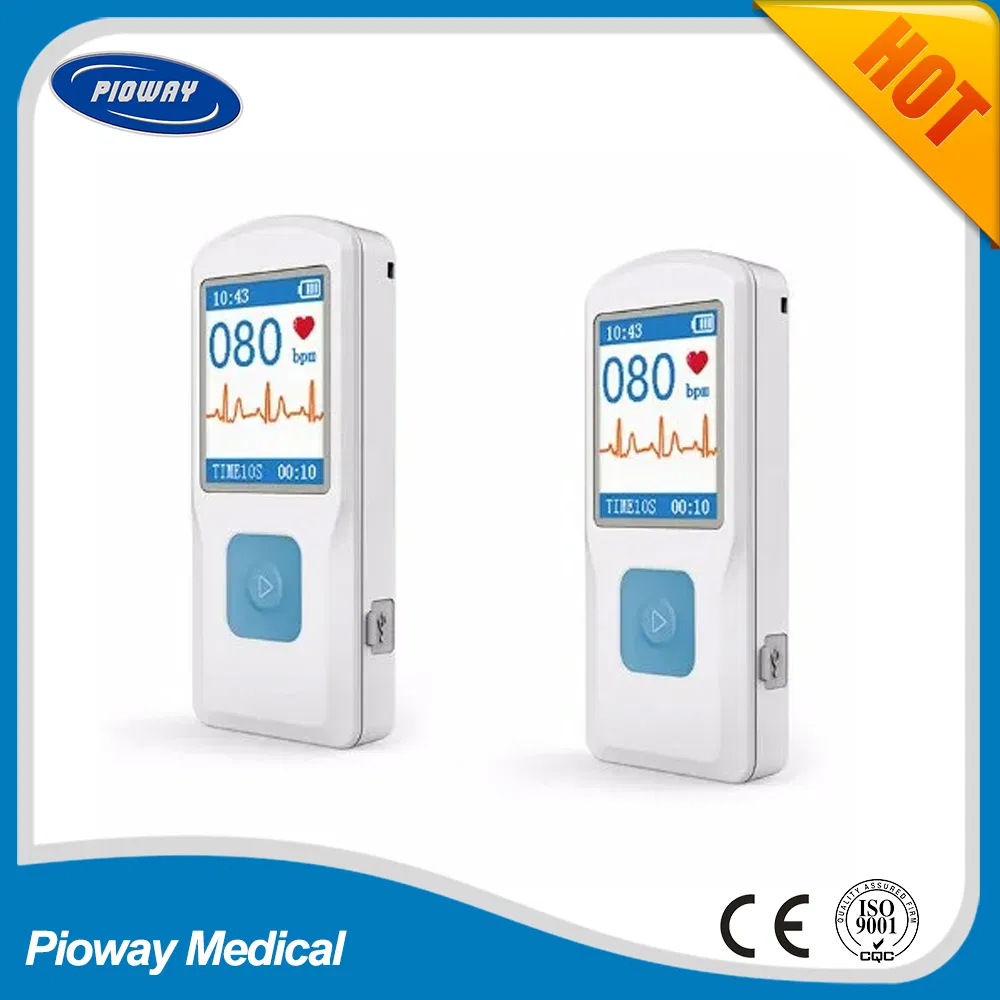 Portable Color Display ECG Monitor (PM10)