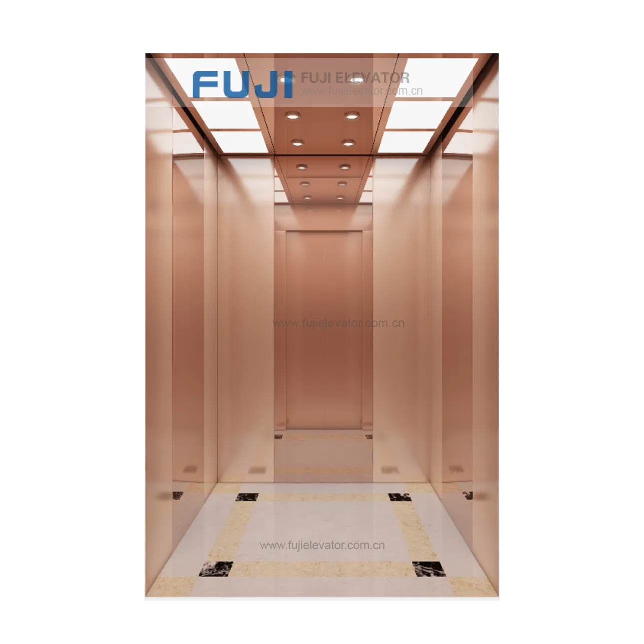 Small Platform House Patient Passenger Hydraulic Lift Elevador Electric for Homes