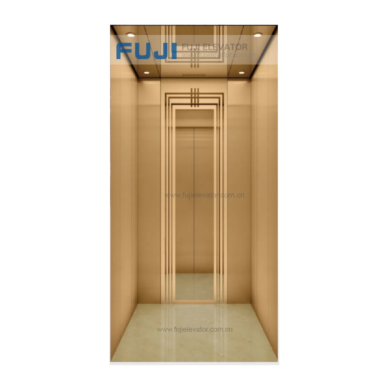 Small Platform House Patient Passenger Hydraulic Lift Elevador Electric for Homes