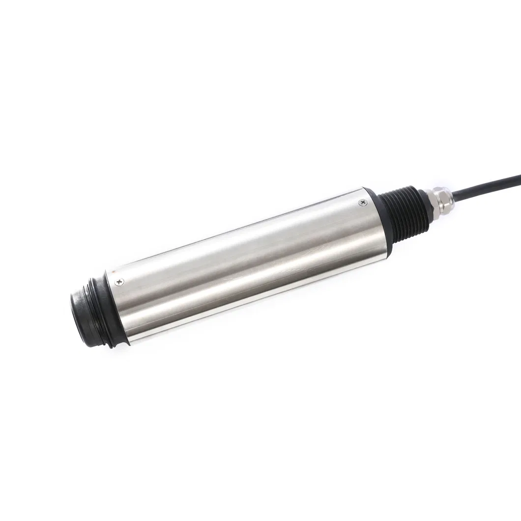 Dissolved Oxygen Sensor View 1