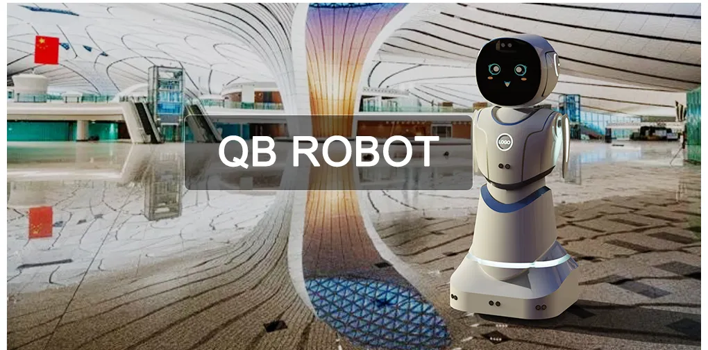 Humanoid Service Robot