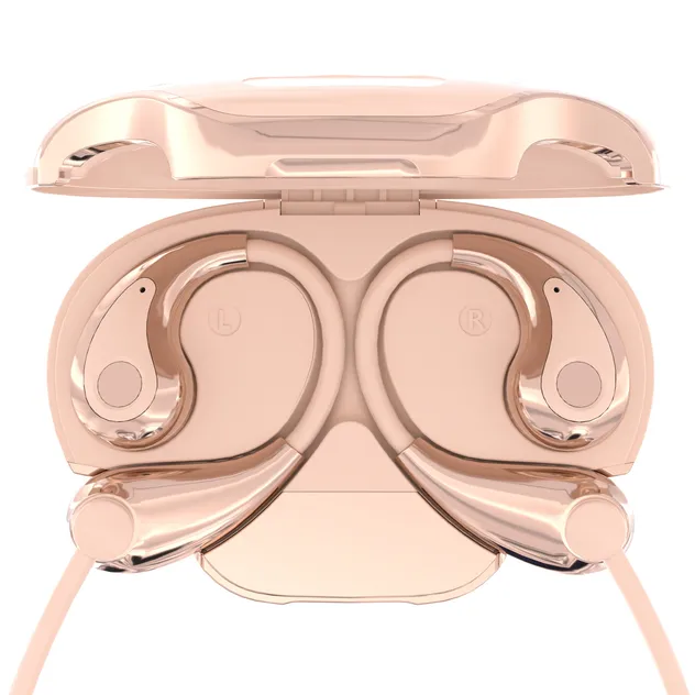 Earphones