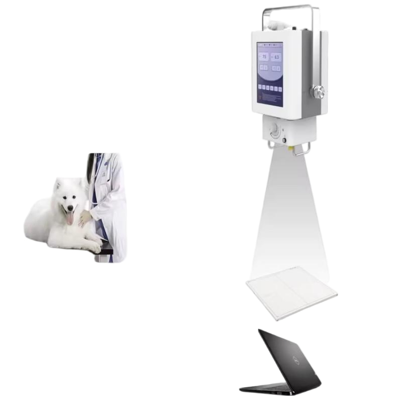 Metal Durable Electric Power Factory Price Portable 5kw X-ray Machine for Human Medical