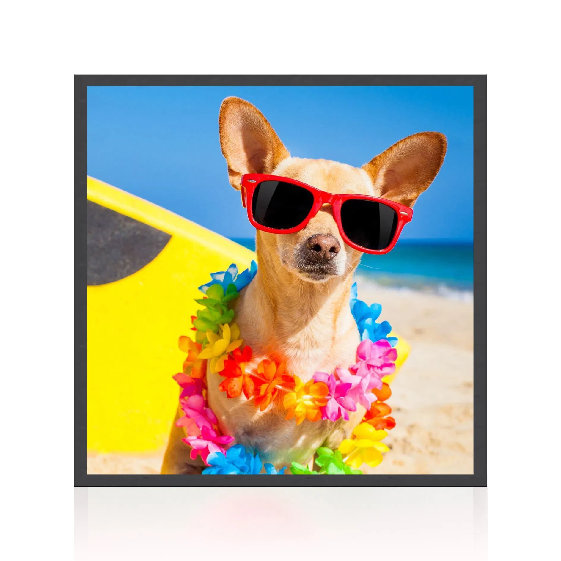 29.5 Inch Qled Backlight Square Display LCD Monitor for Museum, Art Exhibition, Amusement and Gaming Design