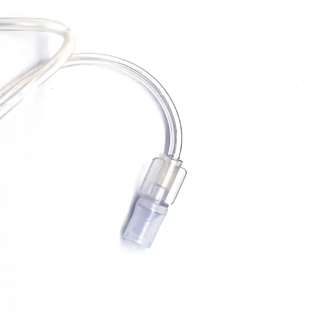 Product View 5