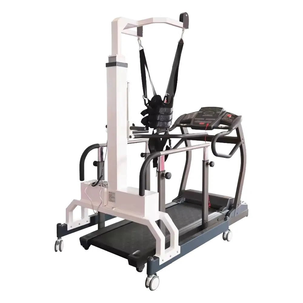 Gait Training Device 1