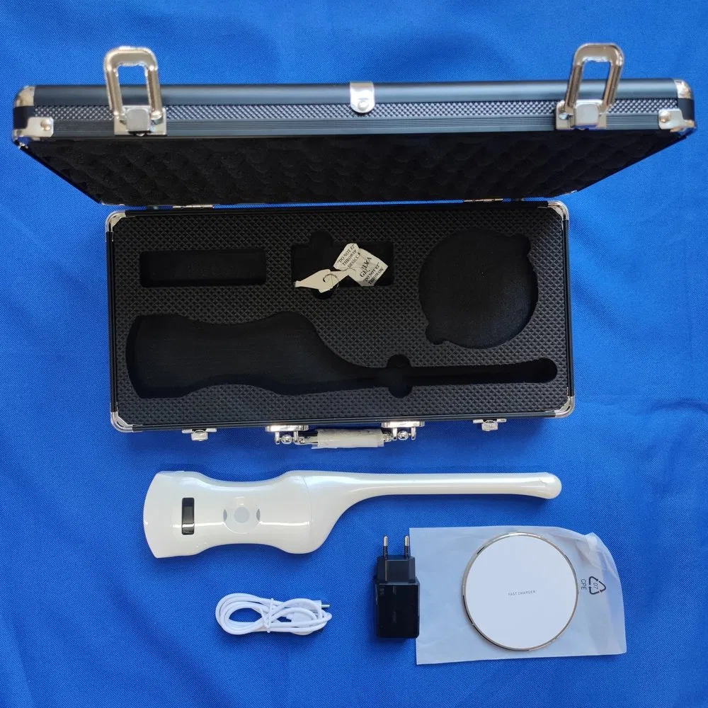 Smart Rechargeable Dual-Mode Ultrasound Handheld Probe for Cardiac and Transvaginal Assessment