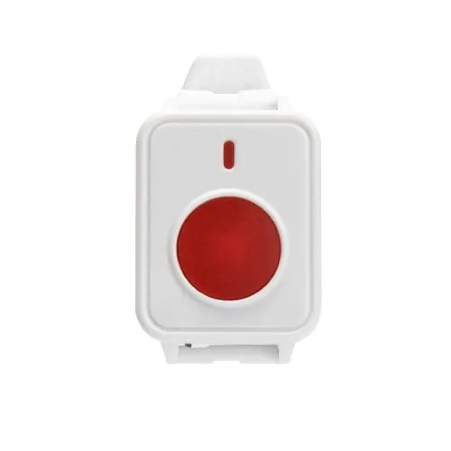 Wrist Wear Display