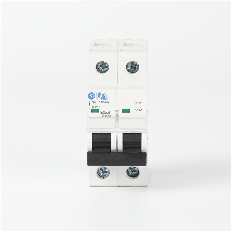 China OFIS-125A Series 2P Miniature Circuit Breaker Factories, Manufacturers