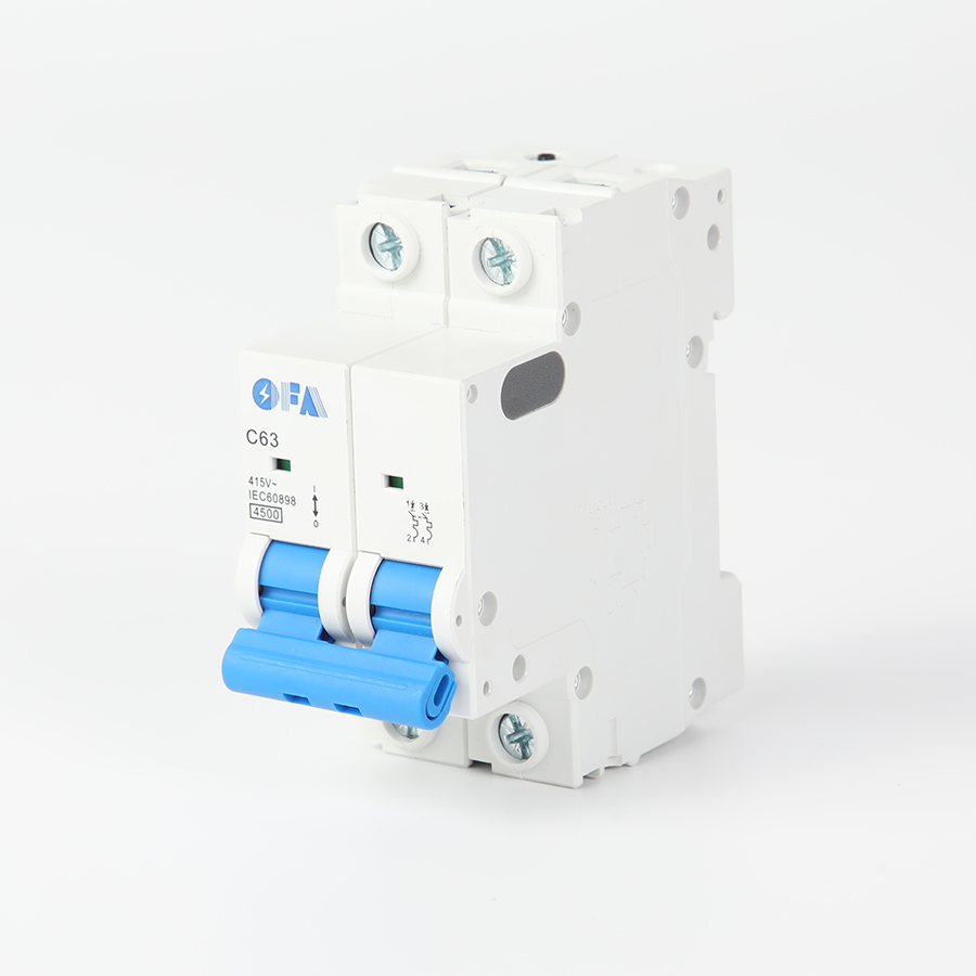 China OFKL-NXB 2P Miniature Circuit Breaker Suppliers, Manufacturers