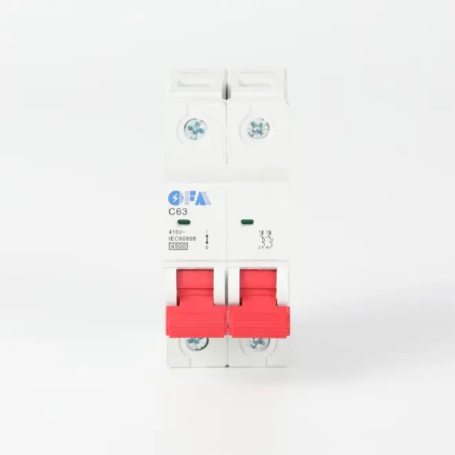 2P Miniature Circuit Breaker