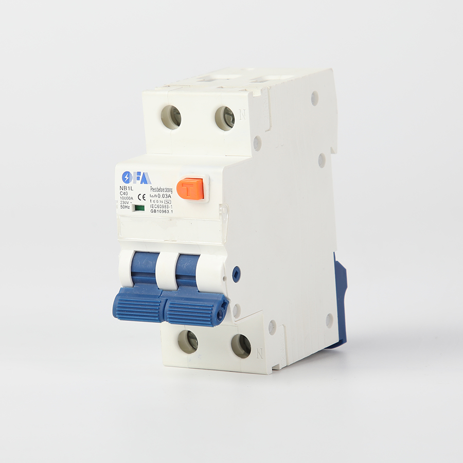 China NB1L Series 2P Residual Current Circuit Breaker Factories, Factory